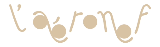 compagnie-aeronef-danse-france-vosges-epinal-logo-sbl-03