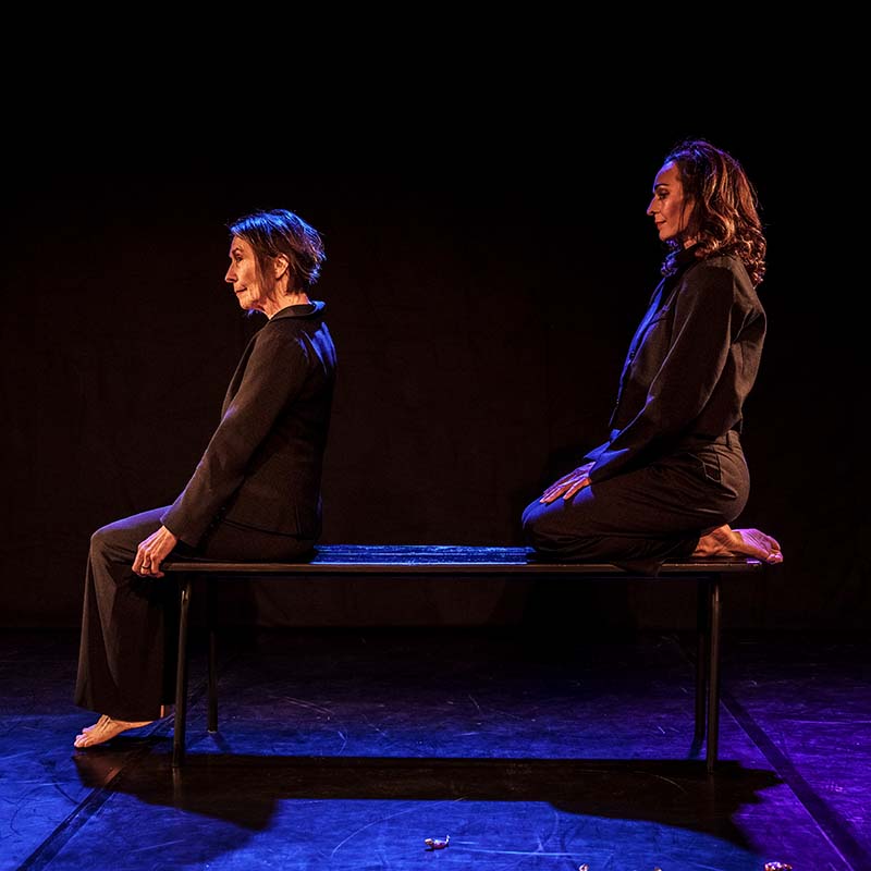 compagnie-danse-aeronef-residence-creation-un-geste-a-soi-mirecourt-lorraine-ecrire-transformer-nuit-des-musees-principale